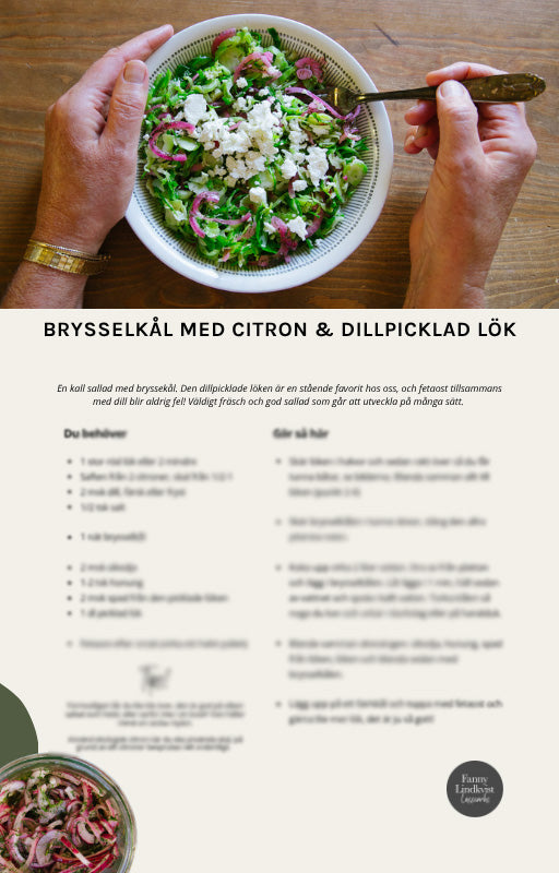 Brysselkål del 2 - 12 nya recept